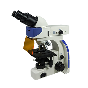 Fluorescence Microscope